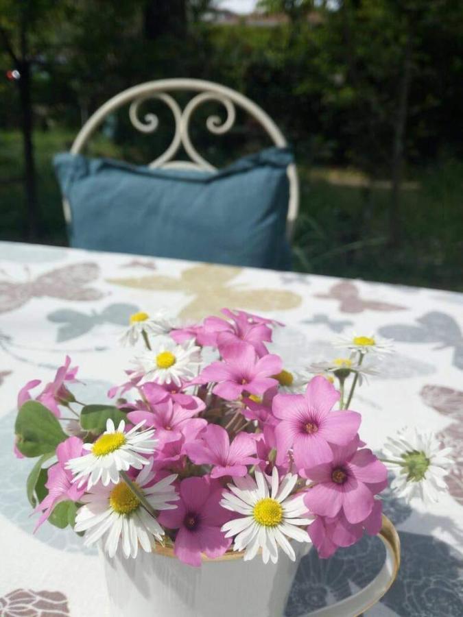 B&B Delle Arti Crema Exteriör bild